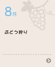 8月