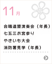 11月